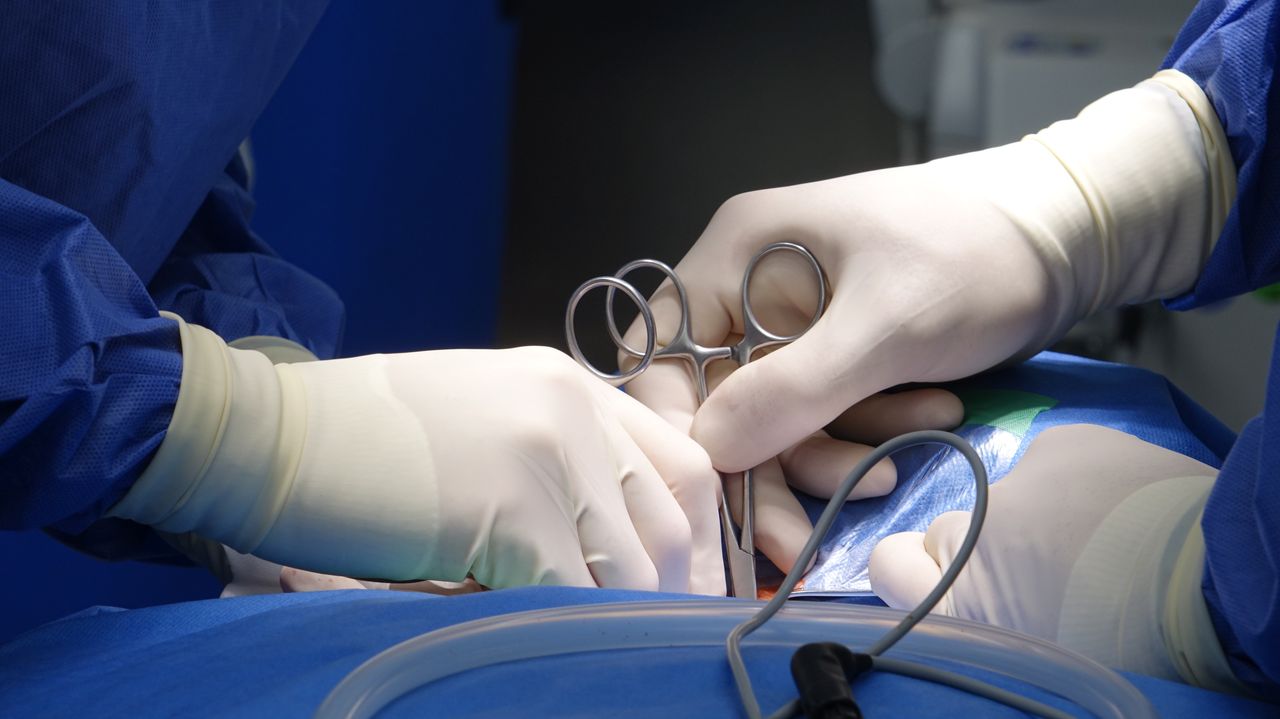 about-us Close-up of surgeons' hands in surgical gloves performing an operation in a hospital operating room under sterile conditions.